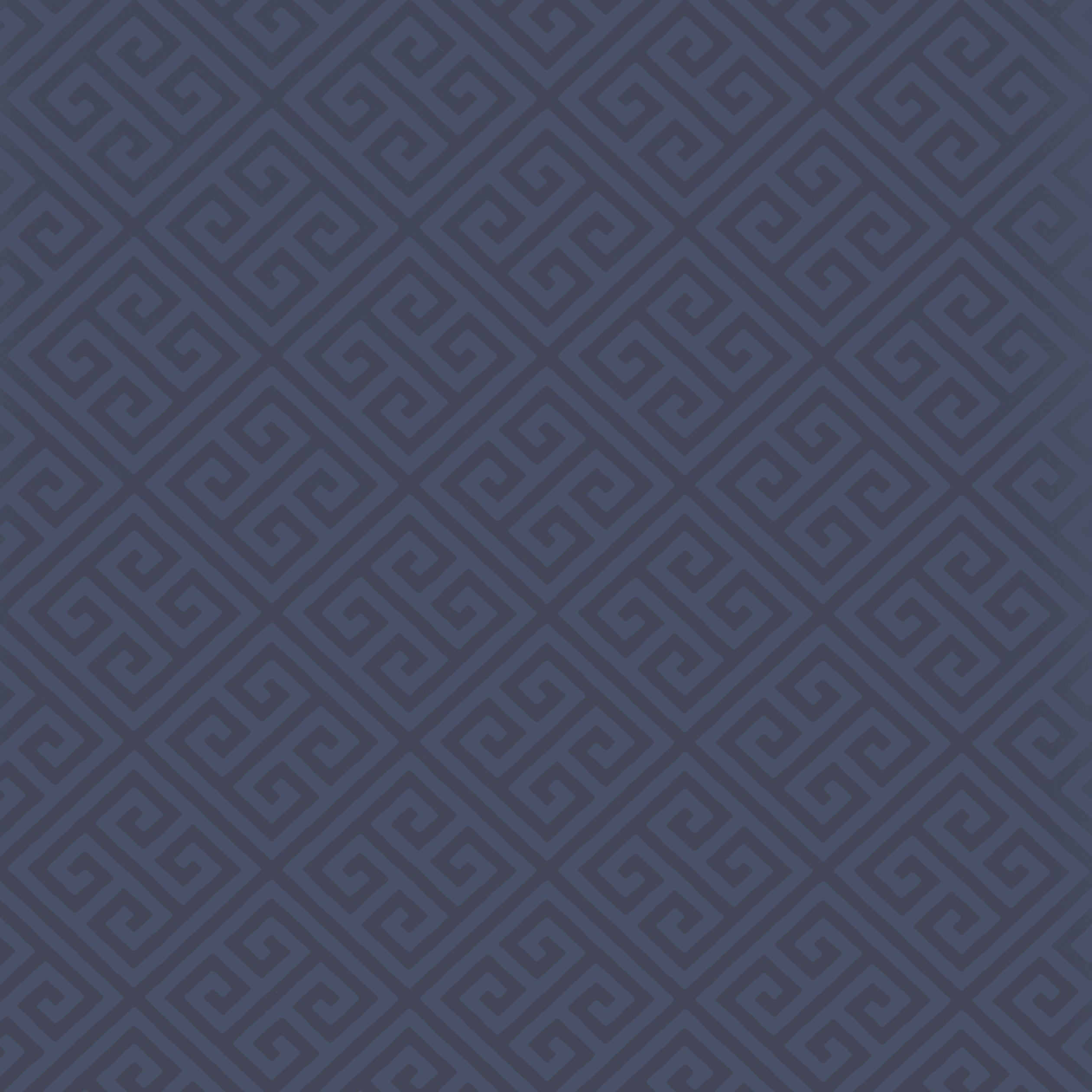 MAZE - Navy