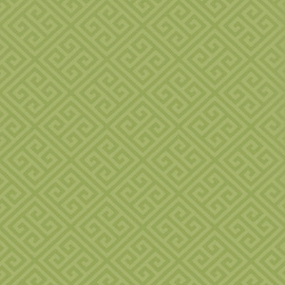 MAZE - Green