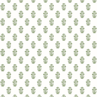 CORWIN - Green on White