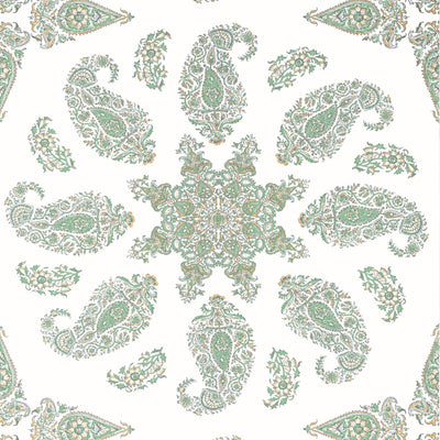EAST INDIA - Green and White