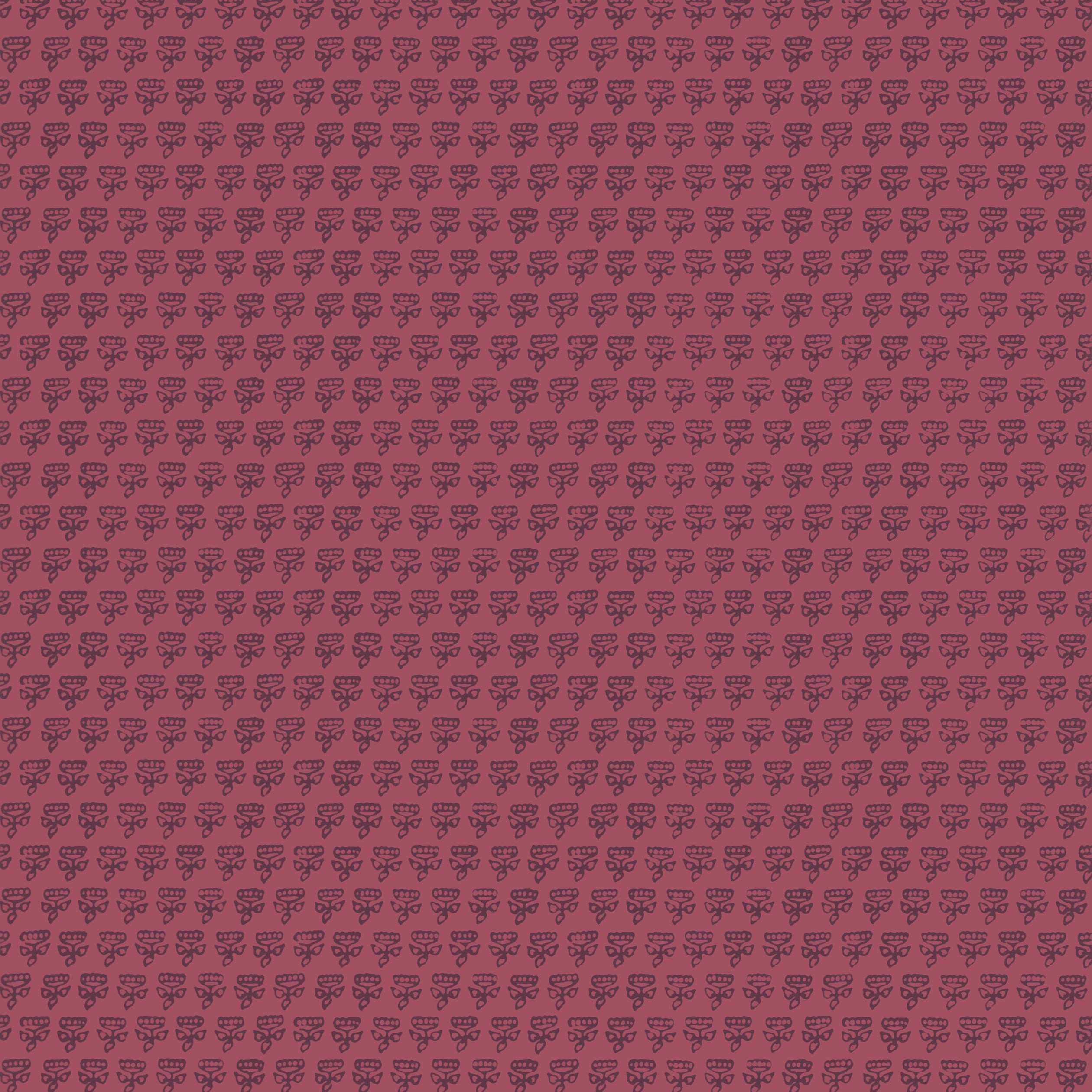 MIMI - Raspberry