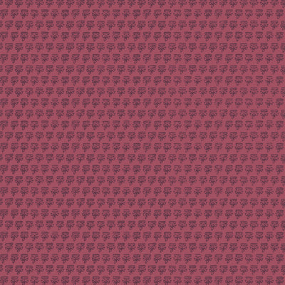 MIMI - Raspberry
