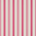 MAGGIE STRIPE - Raspberry