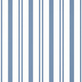 MAGGIE STRIPE - Blue
