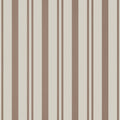 MAGGIE STRIPE - Brown