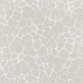 AMATO - Grey