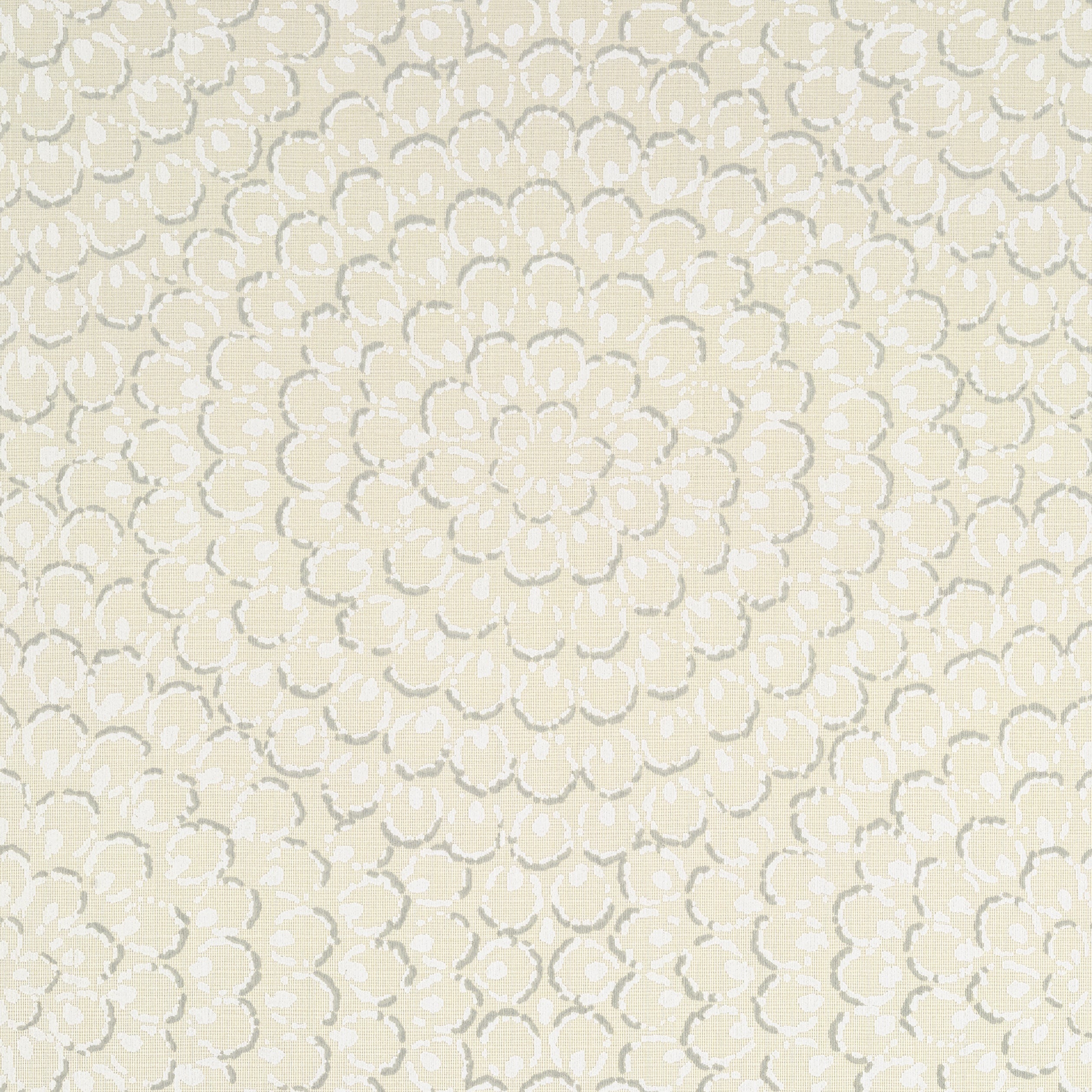 ASTER - Beige