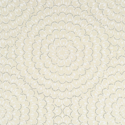 ASTER - Beige