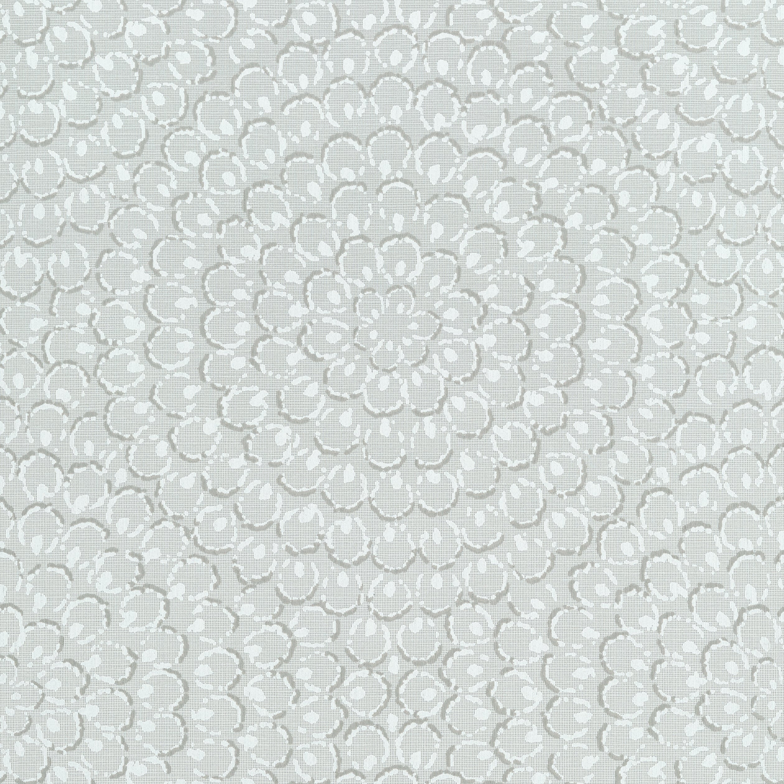 ASTER - Grey