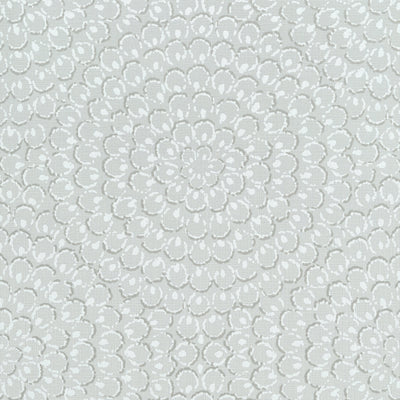 ASTER - Grey