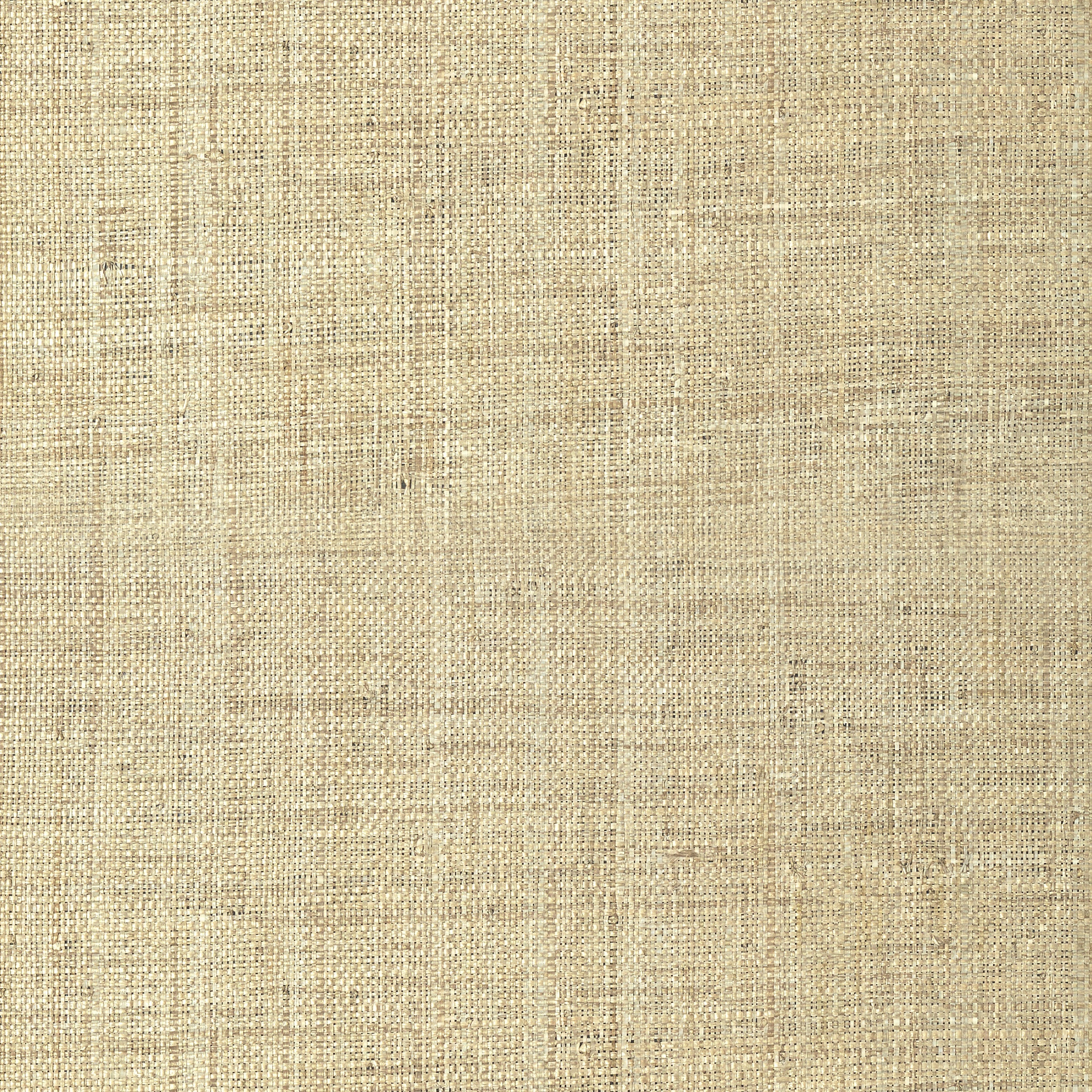 PEARL BAY - Tan