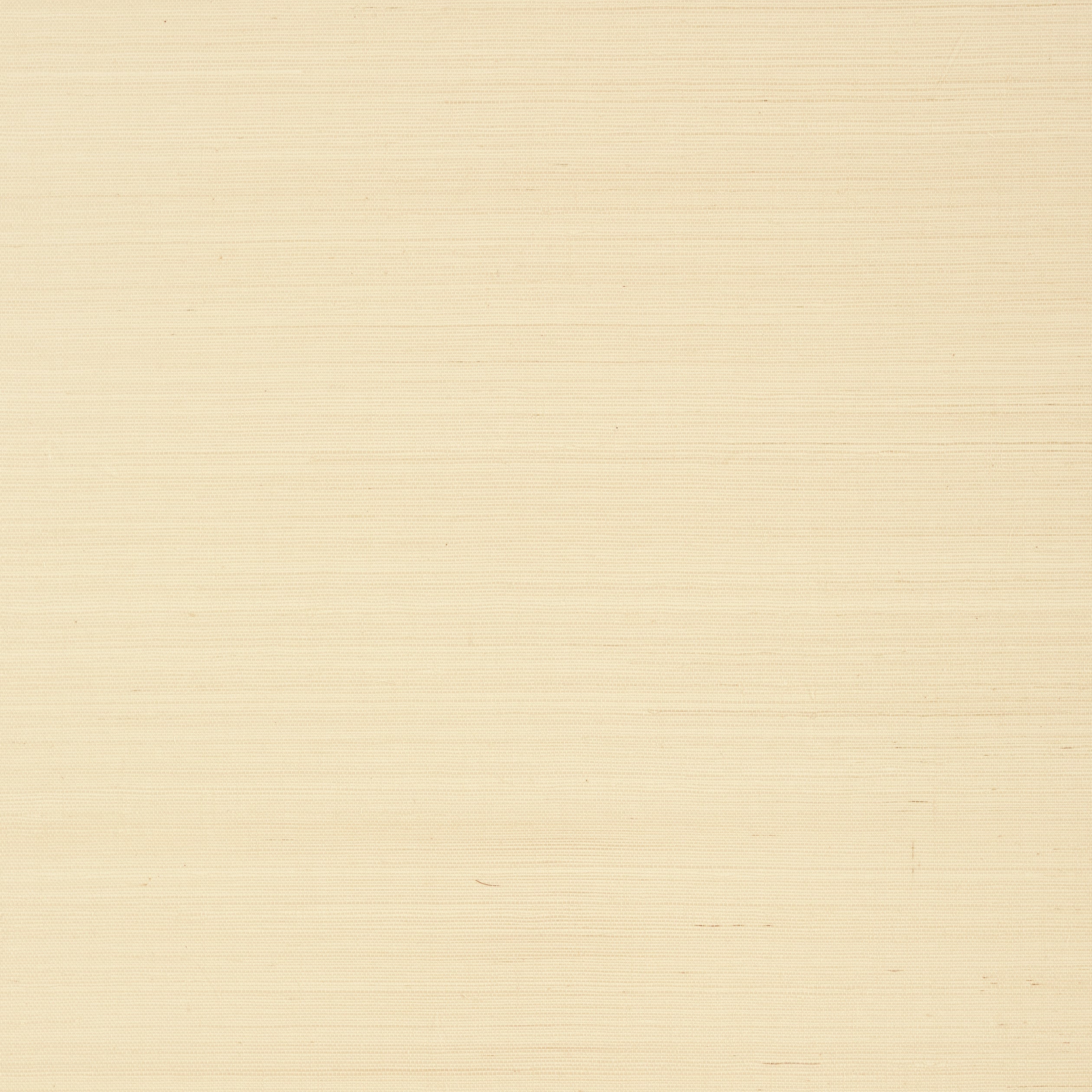 SHANG EXTRA FINE SISAL - Beige