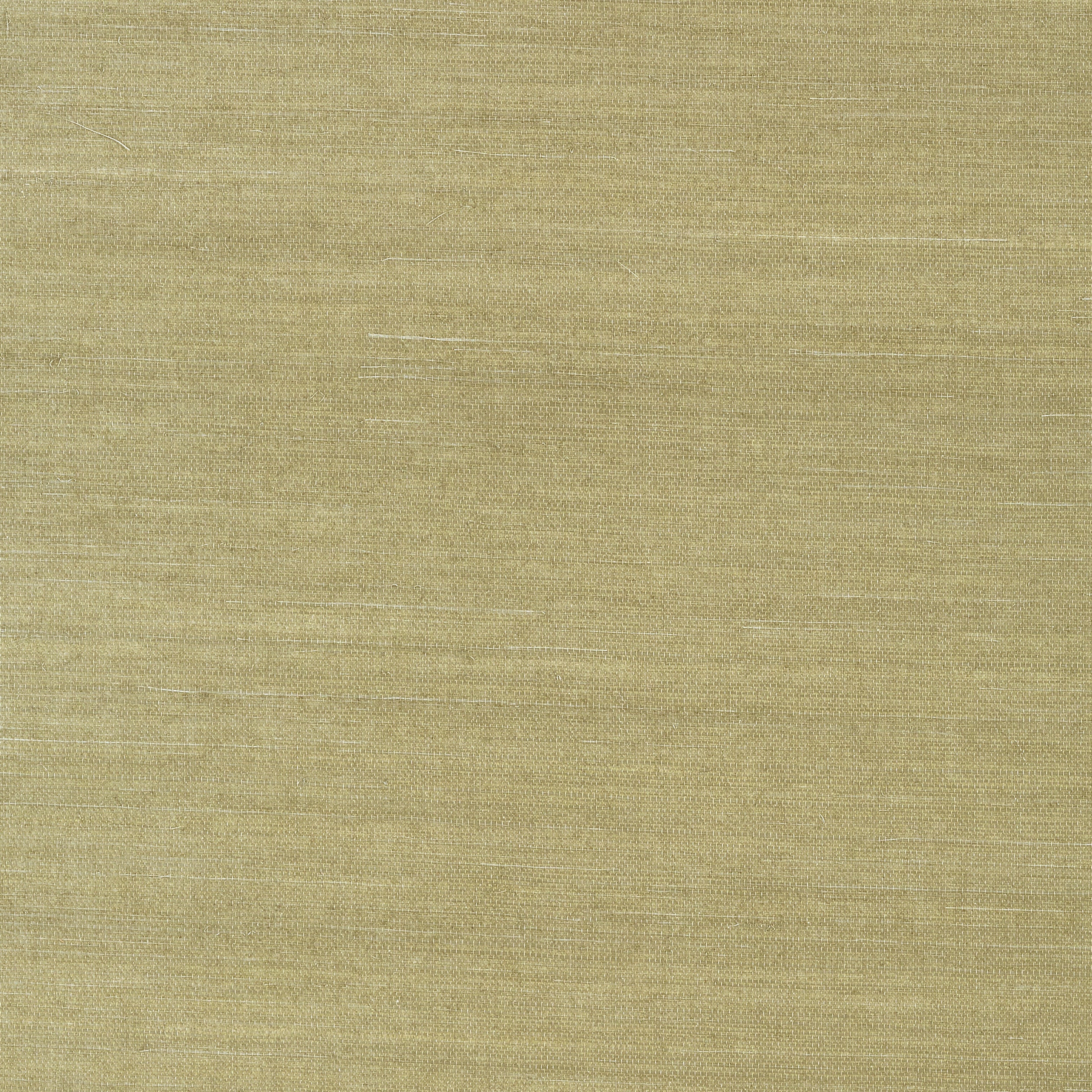 SHANG EXTRA FINE SISAL - Moss