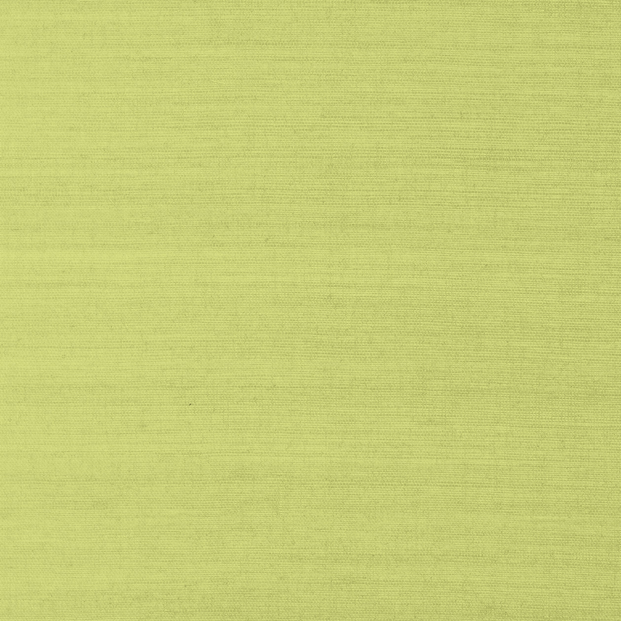 SHANG EXTRA FINE SISAL - Green
