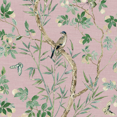 CLAIRE - Lavender