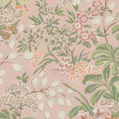 MEADOW - Blush