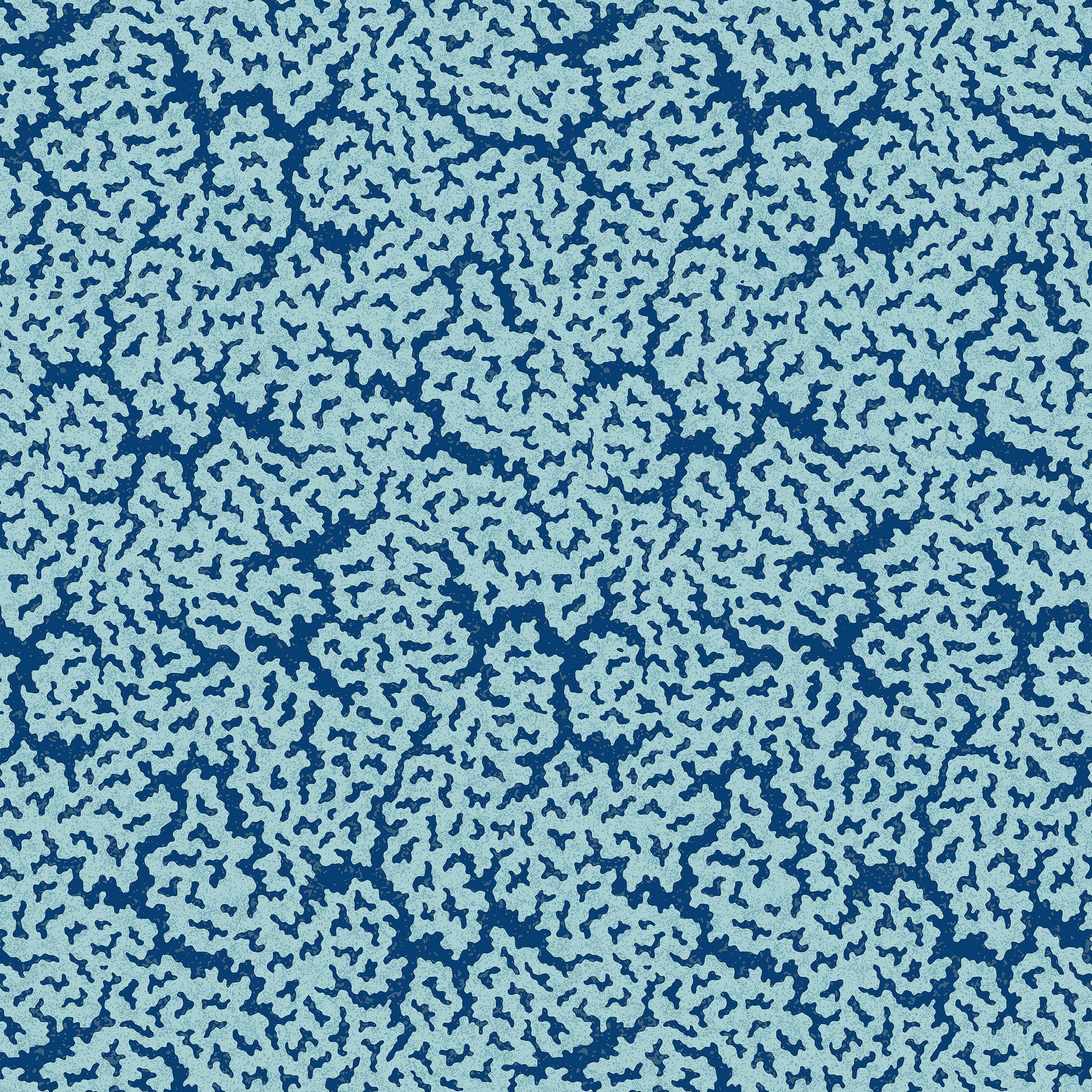 MALDIVES - Navy