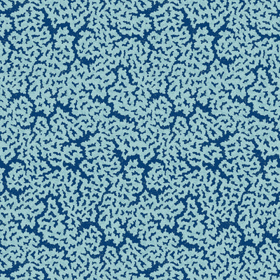 MALDIVES - Navy