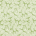 MALDIVES - Green