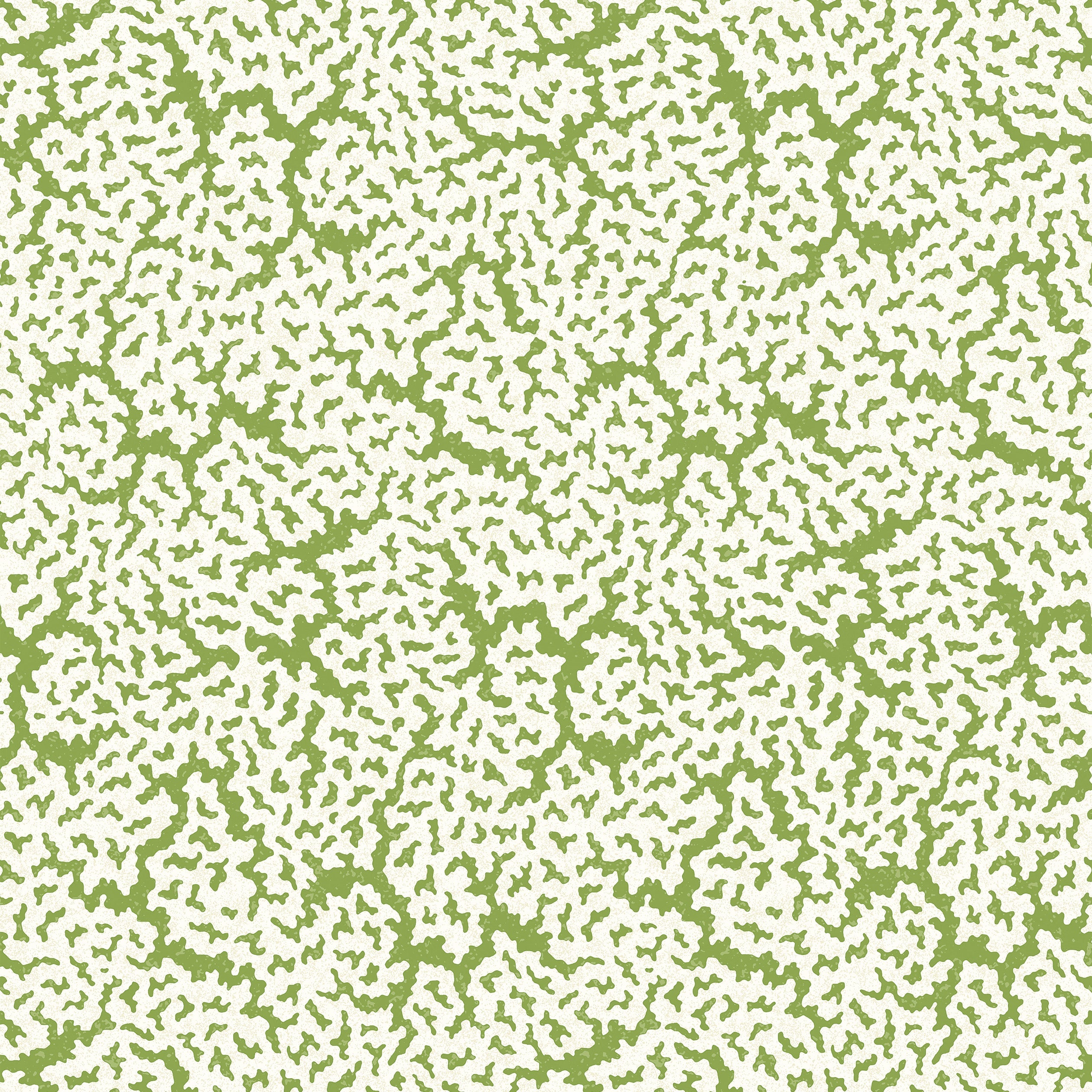 MALDIVES - Green