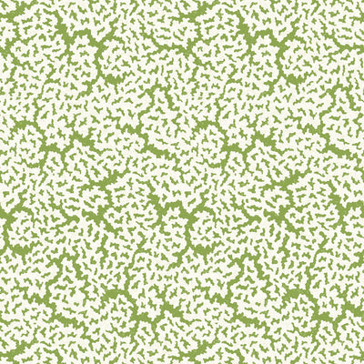 MALDIVES - Green