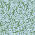 MALDIVES - Blue and Green