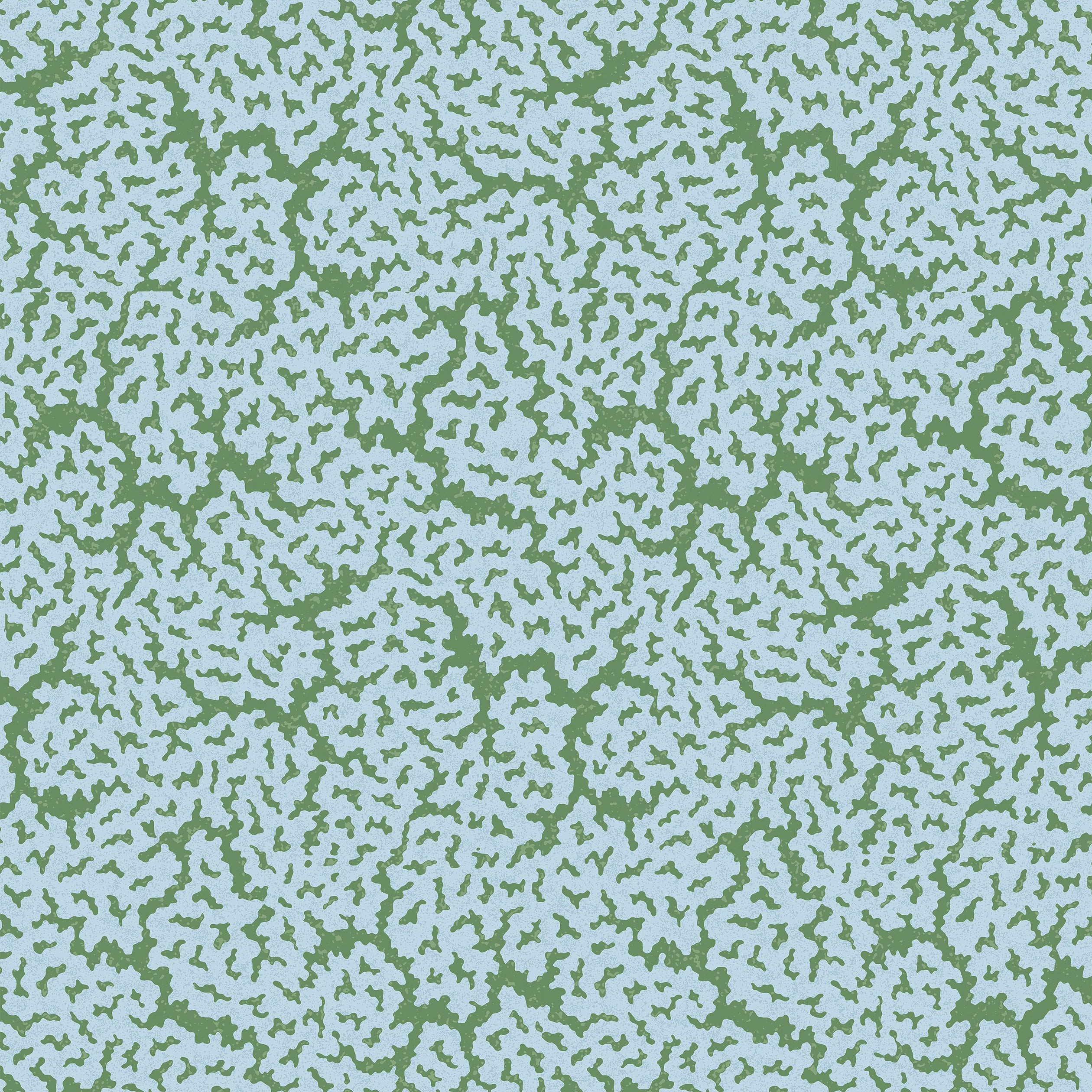 MALDIVES - Blue and Green