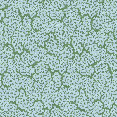 MALDIVES - Blue and Green