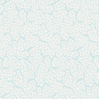 MALDIVES - Soft Blue