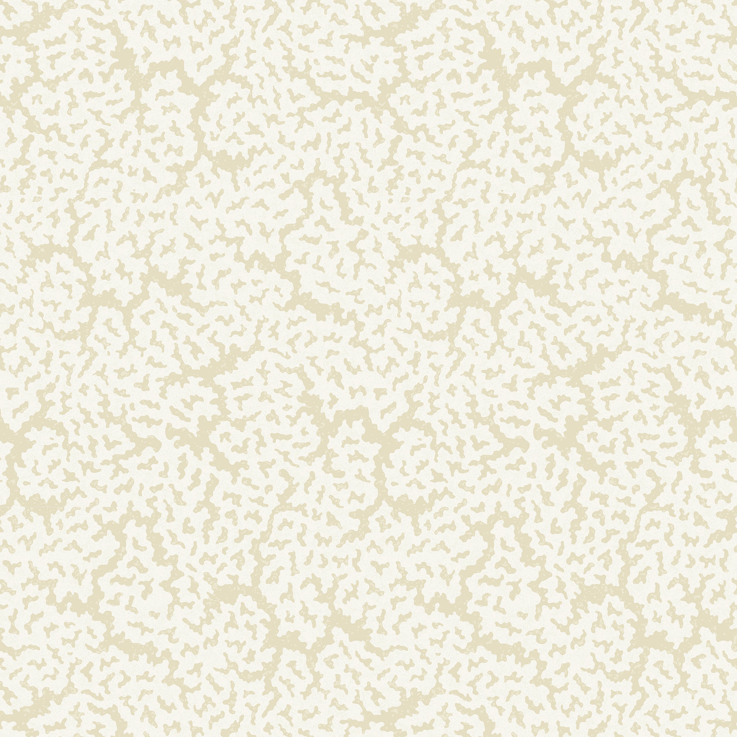 MALDIVES - Cream