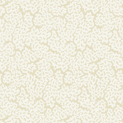 MALDIVES - Cream