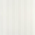SCARLET STRIPE - Beige