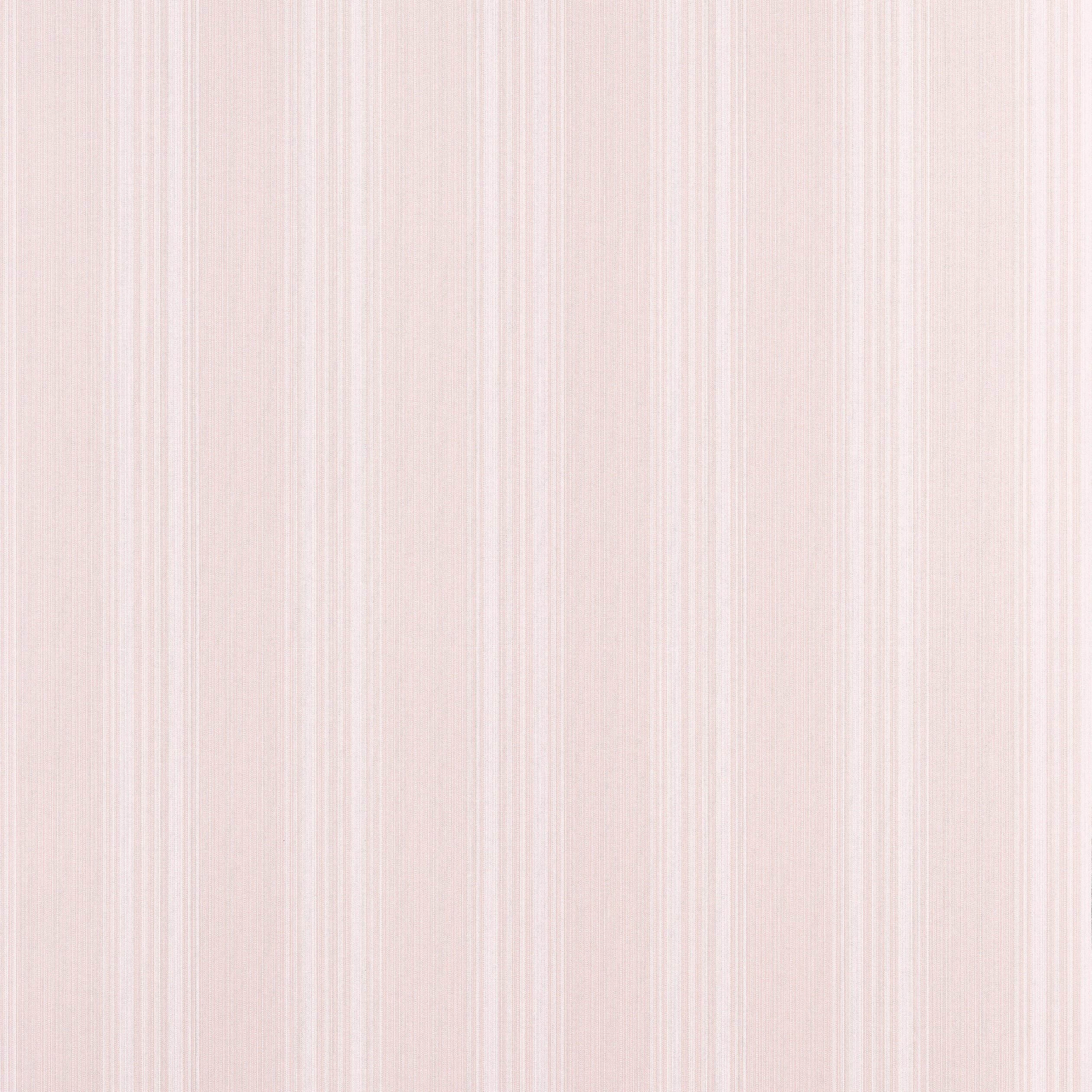SCARLET STRIPE - Blush