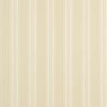 SCARLET STRIPE - Buttercream