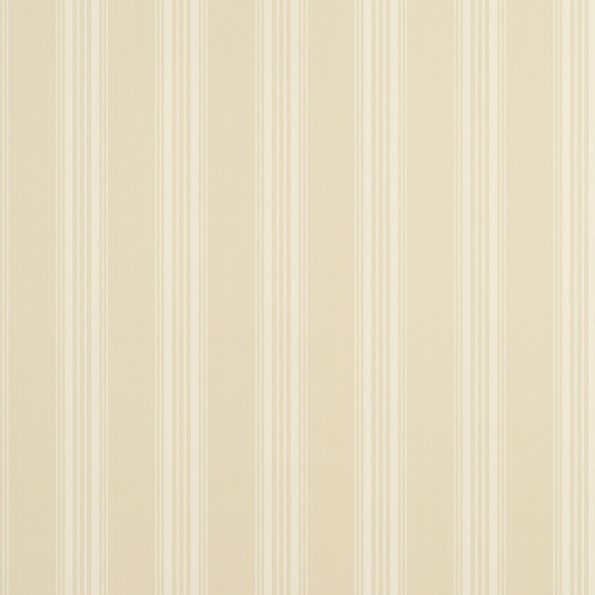 SCARLET STRIPE - Buttercream