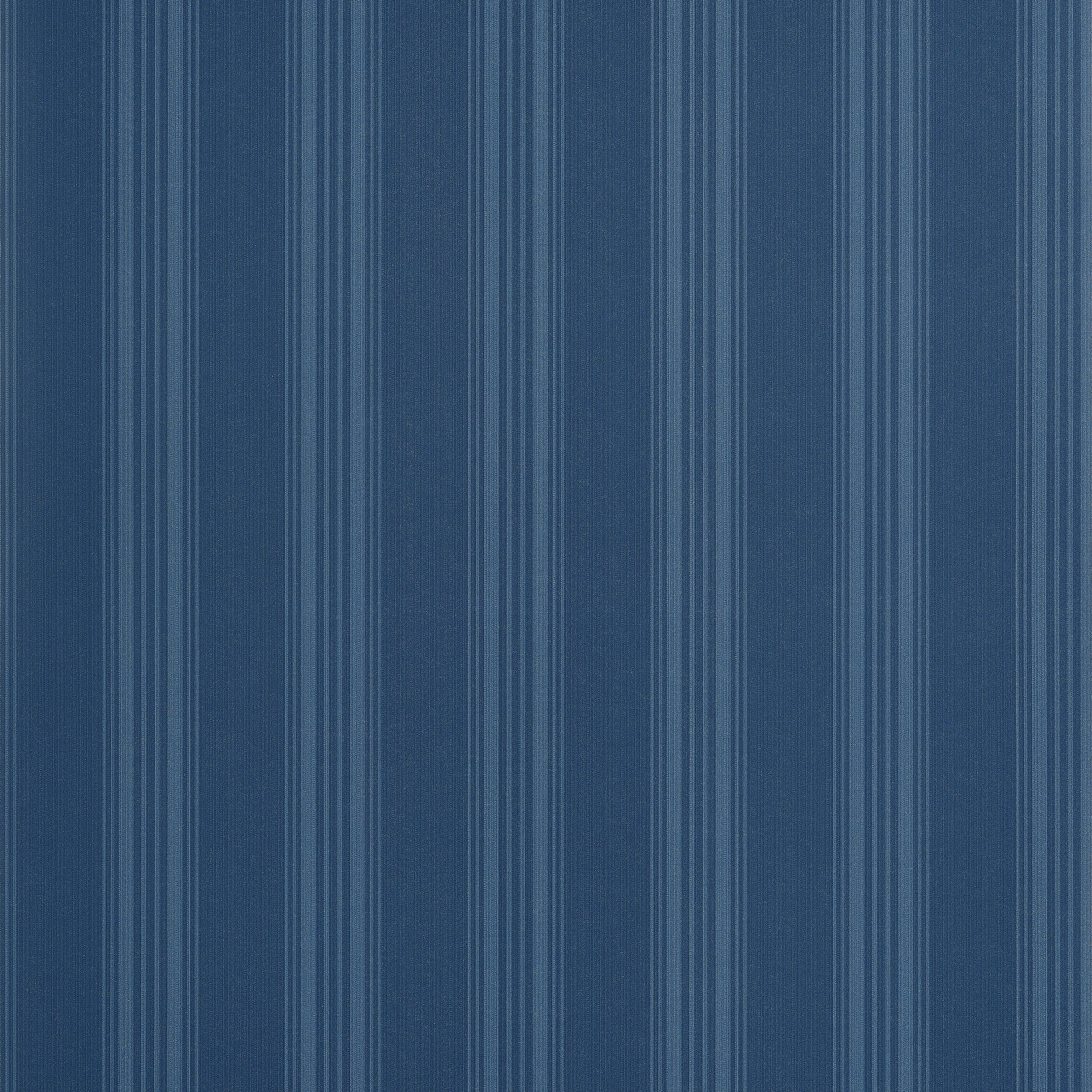 SCARLET STRIPE - Navy