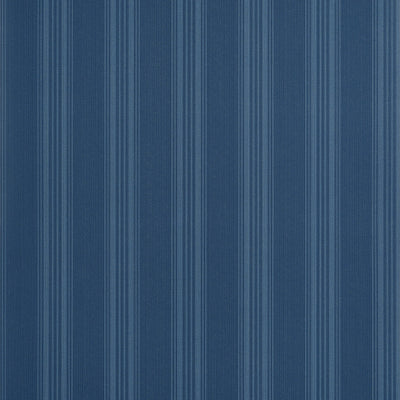 SCARLET STRIPE - Navy