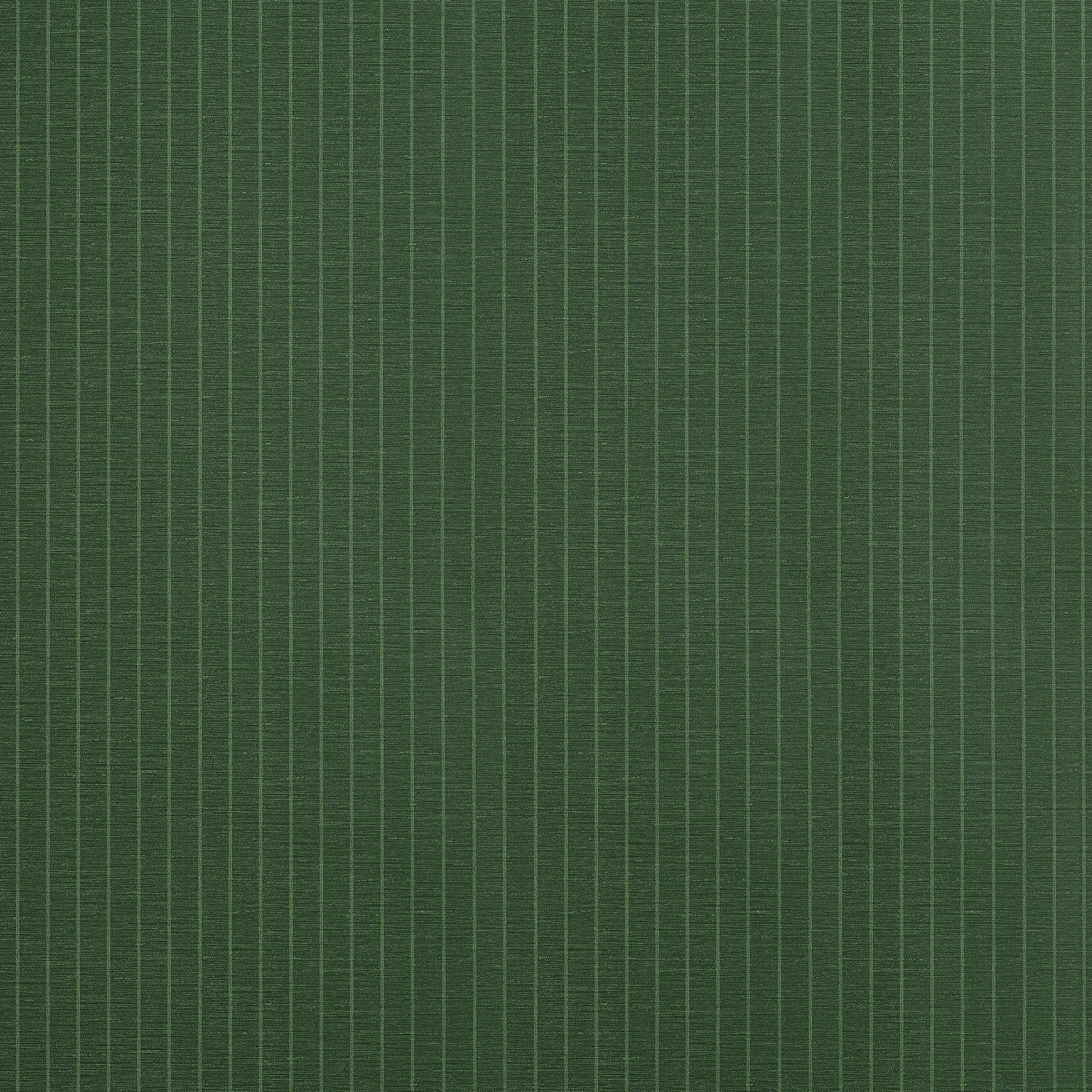 SUITED STRIPE - Forest Green