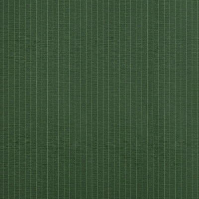SUITED STRIPE - Forest Green