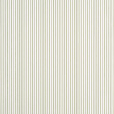 CONNER STRIPE - Green and Beige
