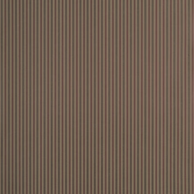 CONNER STRIPE - Brown