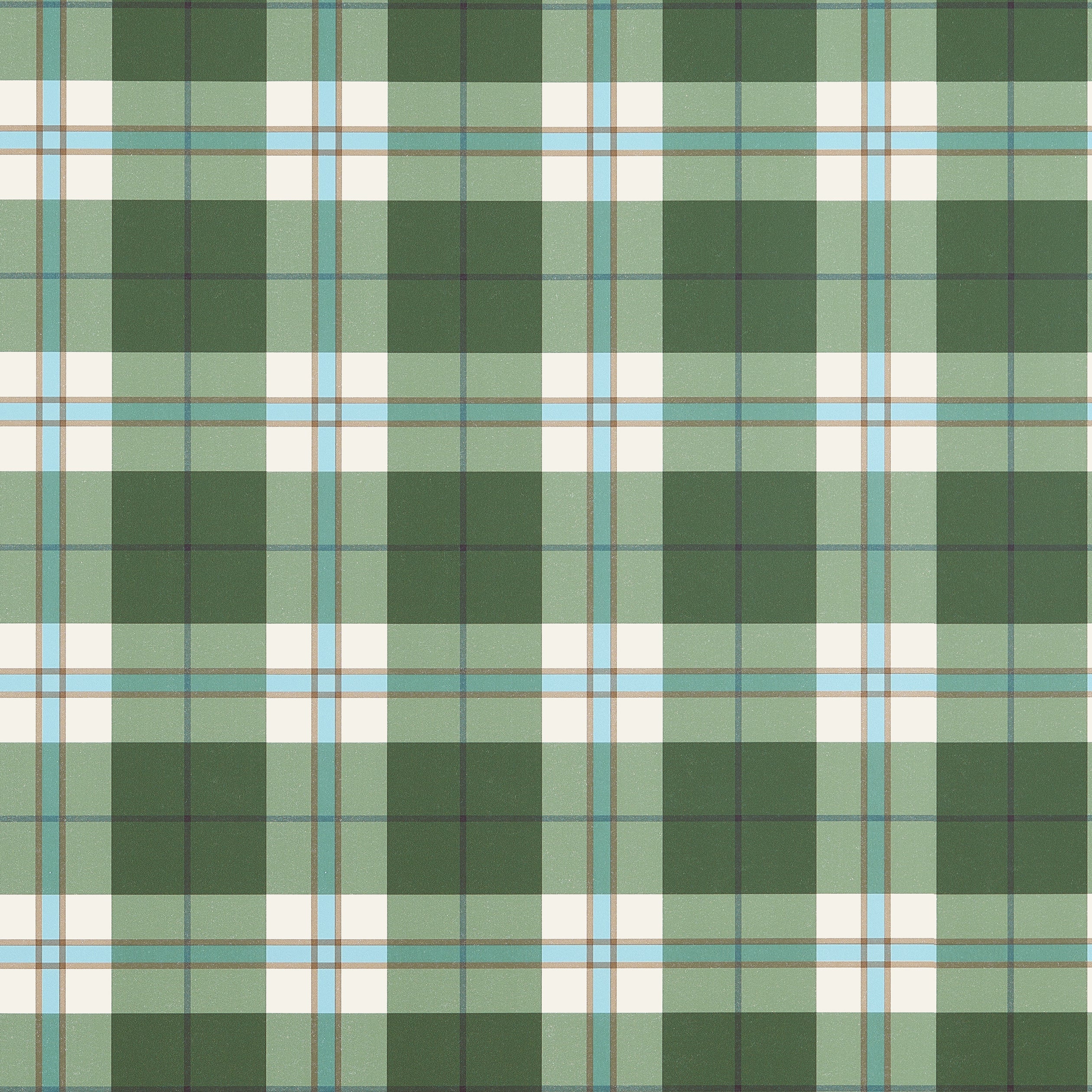 DOUGLAS PLAID - Green