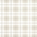 DOUGLAS PLAID - Light Beige
