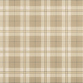 DOUGLAS PLAID - Camel