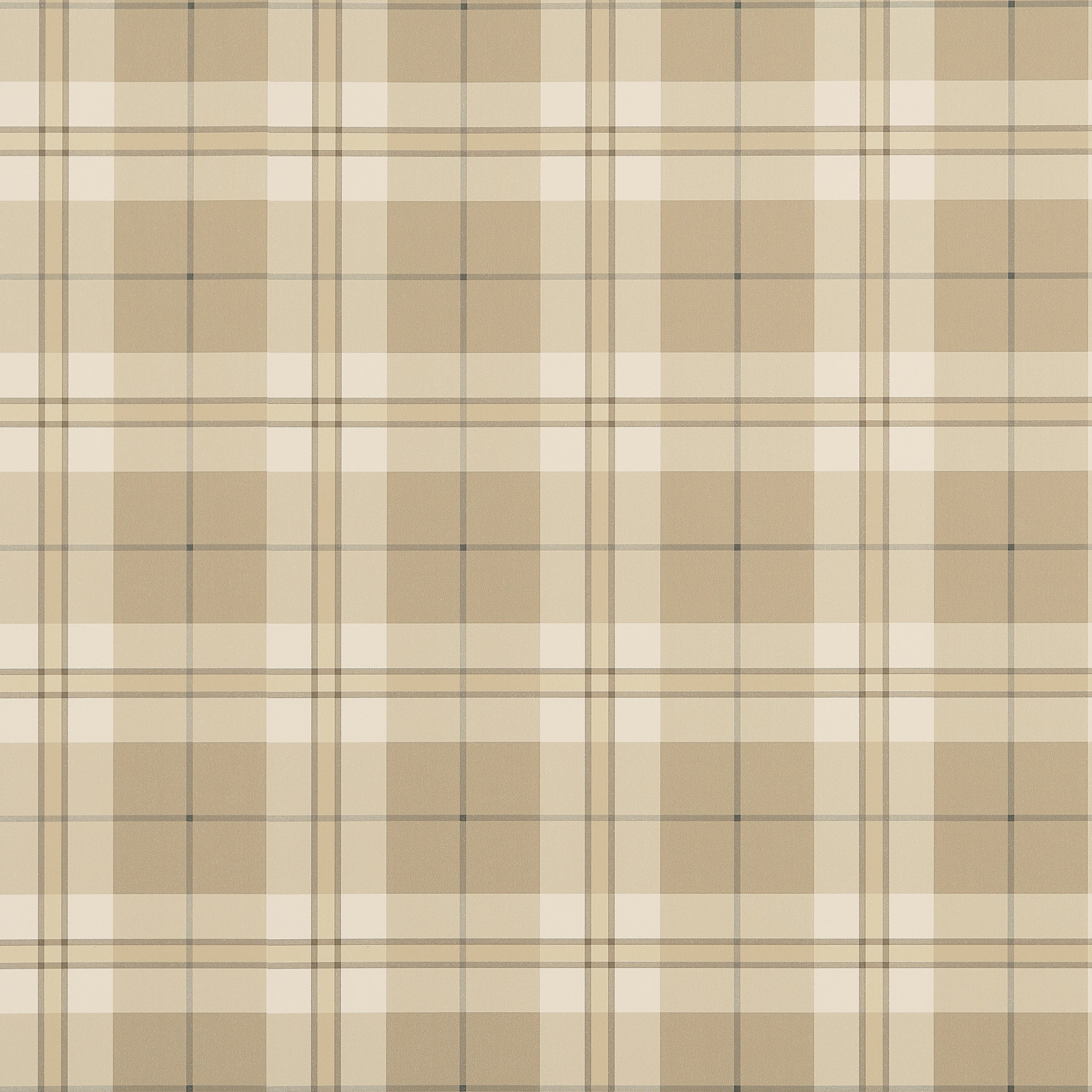 DOUGLAS PLAID - Camel