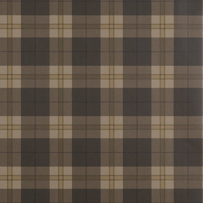 DOUGLAS PLAID - Brown