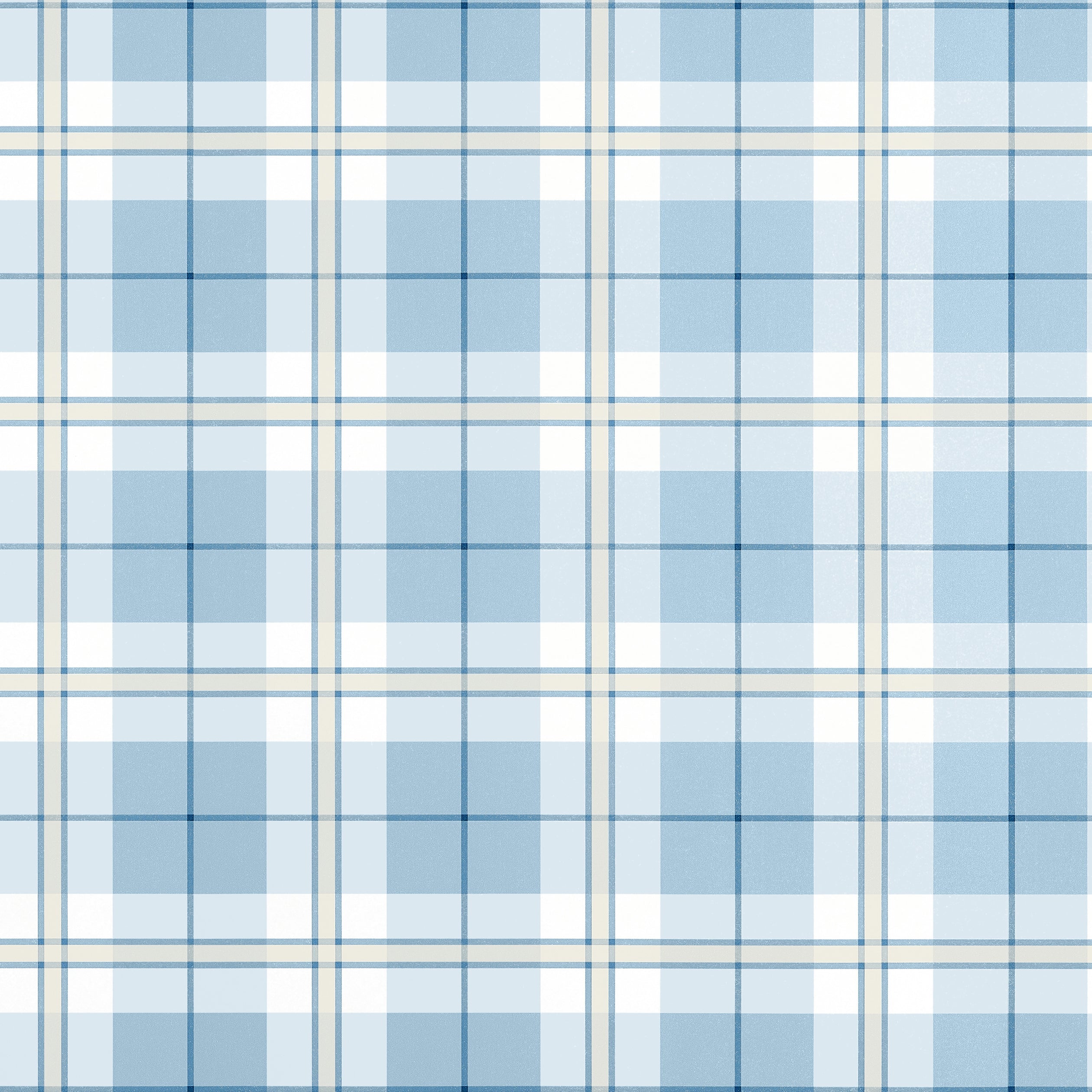 DOUGLAS PLAID - Light Blue