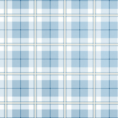 DOUGLAS PLAID - Light Blue