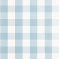 BUFFALO CHECK - Spa Blue