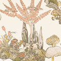 ORLEANS - Apricot and Ginger